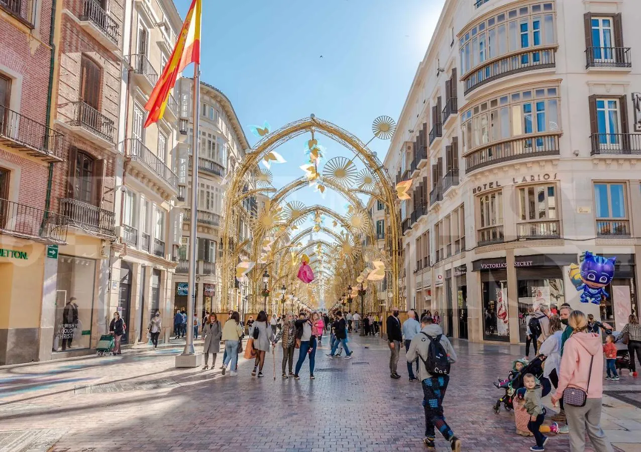 Lovely Duplex With Private Parking Near City Center By Rems Málaga